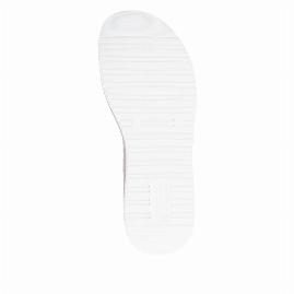 D1J53-80